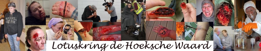 lotuskringkringdehoekschewaard